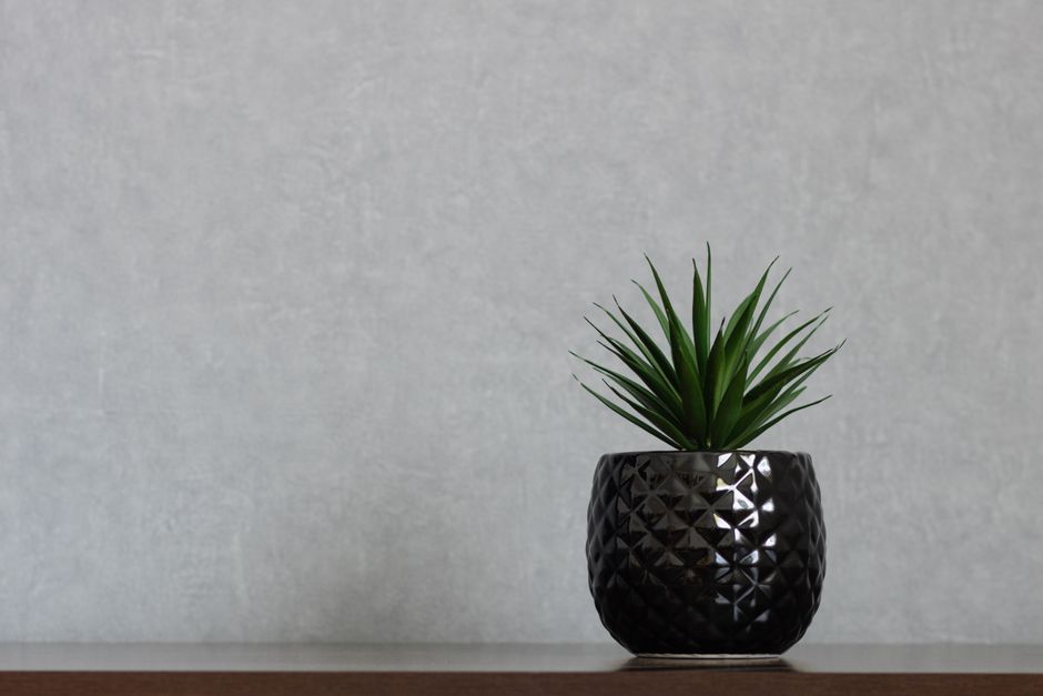 Greenery Without the Guilt: Faux Plants Done Well